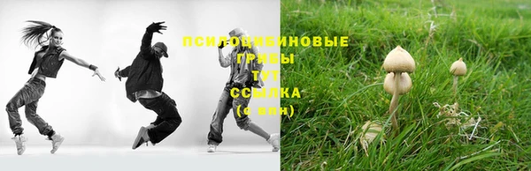 spice Балахна