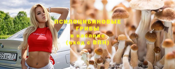 spice Балахна