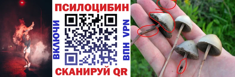 Псилоцибиновые грибы ЛСД  где купить наркоту  Лабытнанги 